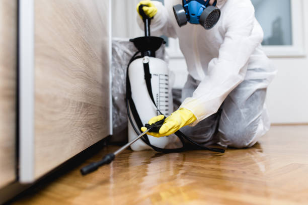 Best Termite Control Services  in Mountain Lodge Park, NY