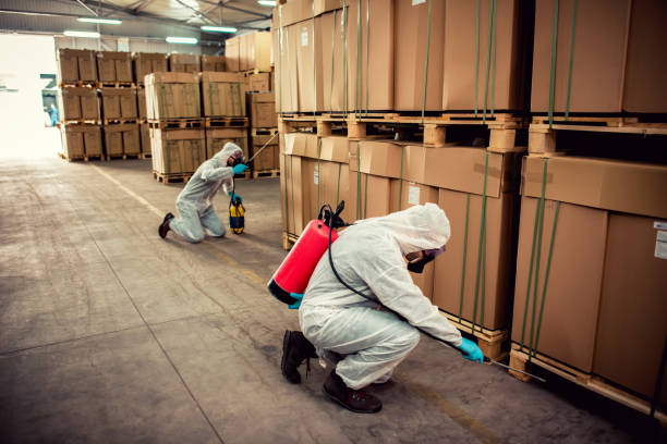 Best Pest Removal Services  in Mountain Lodge Park, NY