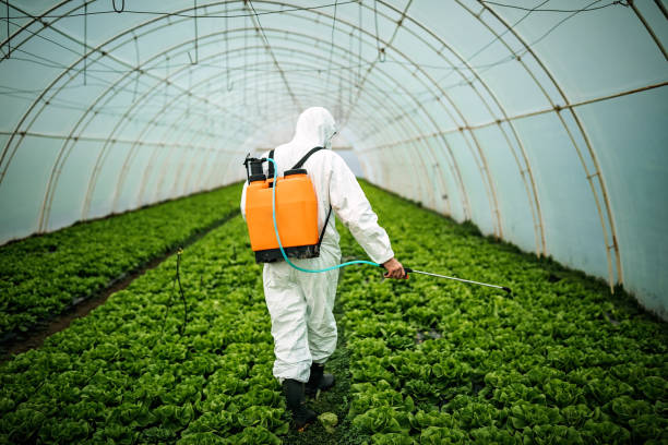 Best Affordable Pest Control Services  in Mountain Lodge Park, NY